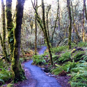 Ridgeline Trail System