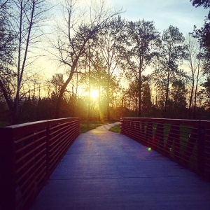 The Ruth Bascom Riverbank Path